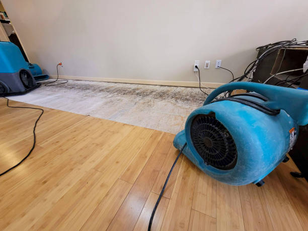 Professional Water Damage Repair technician working in Patagonia, AZ